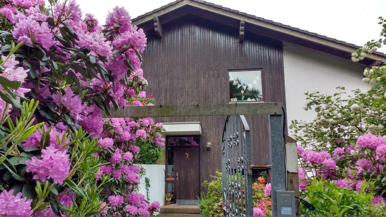 Ferienwohnung Rhododendron - Natur Pur Am Highwalk Rotenburg an der Fulda Exterior photo
